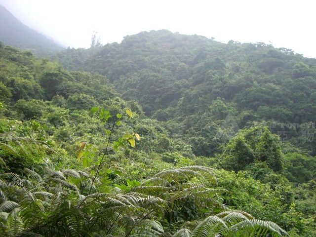 新界大嶼山大嶼山高原第140號地段 (地塘仔) (Lantao Plateau Lot No. 140) Lantao Plateau Lot No. 140, Lantau Island, NT (Tei Tong Tsai)