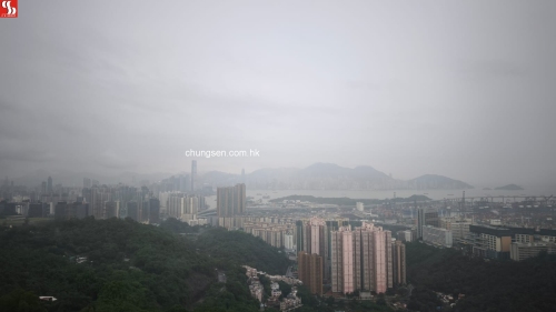 新界葵涌華員徑2號華員邨第5座(華信閣)25字樓D單位 。