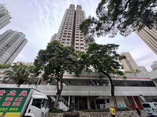 新界大埔安邦路9號大埔中心1期3座30字樓H室 Flat H, 30/F, Tower 3, Phase 1, Tai Po Centre, No. 9 On Pong Road, Tai Po, NT