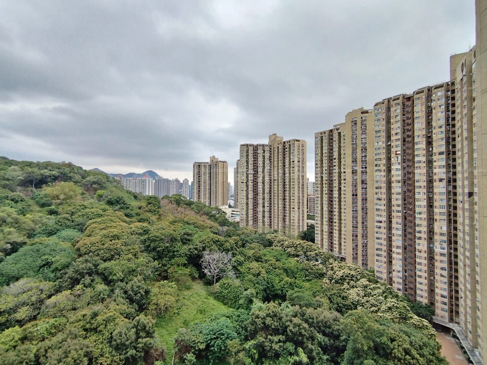 新界屯門鳴琴路1號山景邨2座(景貴樓)21字樓13室 (第二市場) Flat No. 13, 21/F, Block 2 (King Kwai House), Shan King Estate, No. 1 Ming Kum Road, Tuen Mun, NT