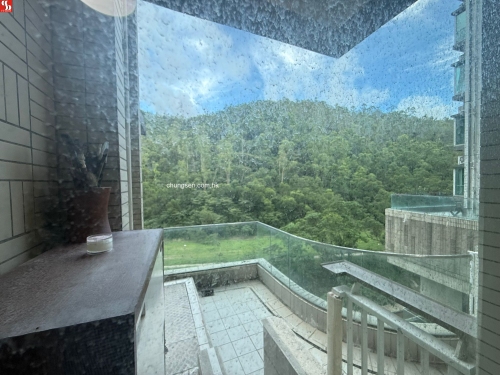 將軍澳石角路8號峻瀅第6座2樓A室連平台。 (銀主命)