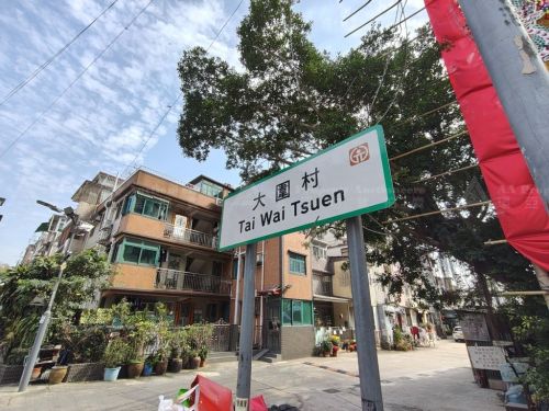 新界元朗大圍村43號全幢 (DD115 Tai Wai Lot No. 123) No. 43 Tai Wai Tsuen, Yuen Long, NT (DD115 Tai Wai Lot No. 123)