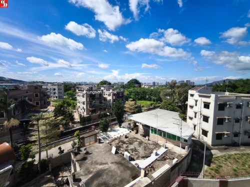 元朗大棠村103號2字樓連天台。(Lot No.1134 S.A.RP in DD.117 )。(銀主命)