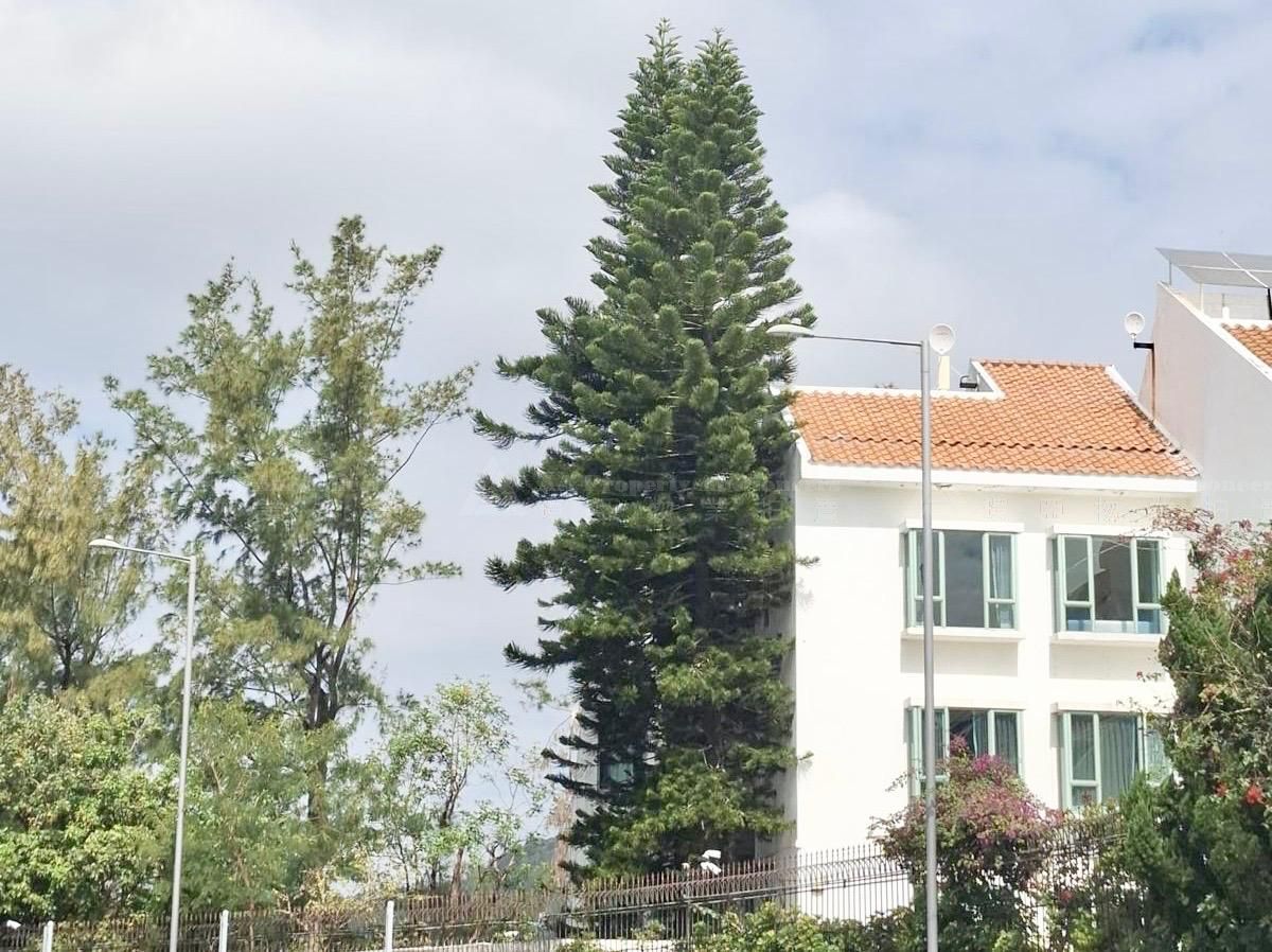新界沙田穗禾路33-35號沙田渣甸山花園D1洋房 House D1, Ville De Jardin, Nos. 33-35 Sui Wo Road, Shatin, NT