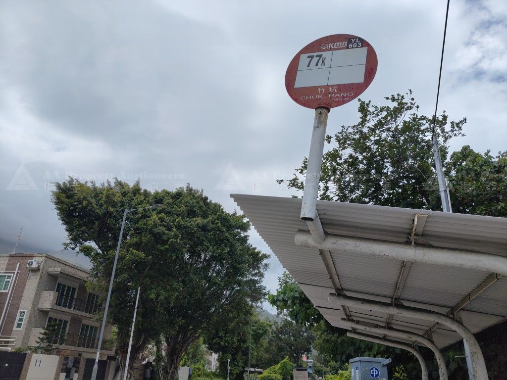 新界元朗竹坑新隆圍農地 (DD111 Lot No. 338) DD111 Lot No. 338, Yuen Long, NT