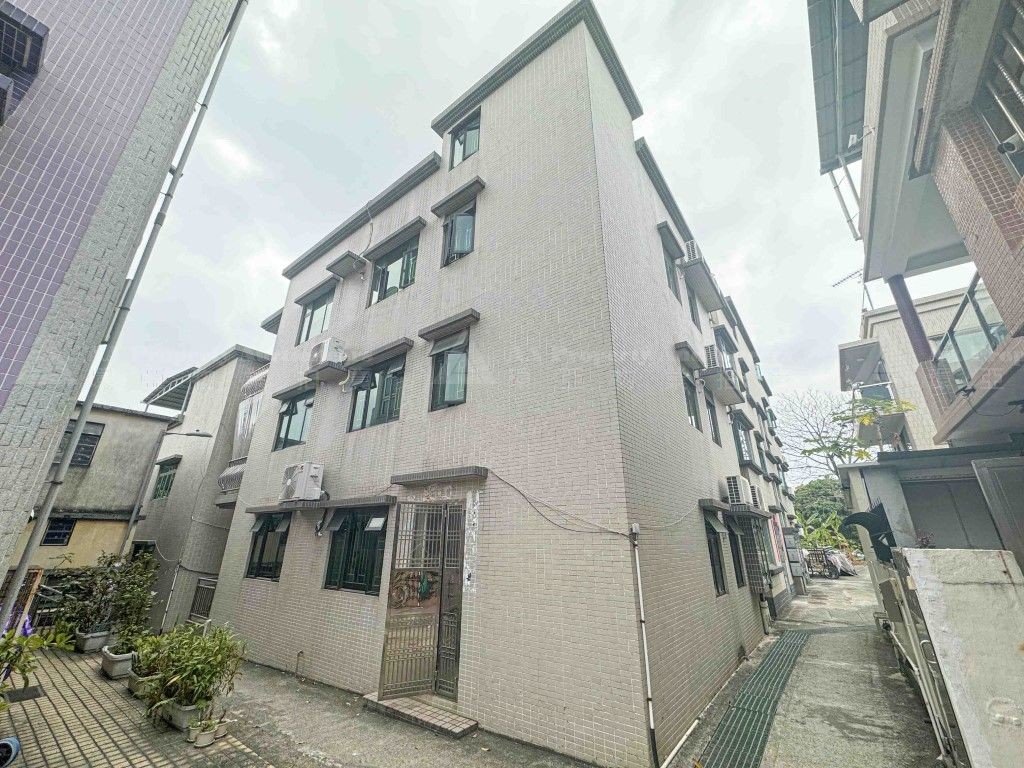 新界元朗巷尾村12號全幢 (DD125 Lot No. 2137 & Lot No. 2151) No. 12 Hong Mei Tsuen, Yuen Long, NT (DD125 Lot No. 2137 & Lot No. 2151)