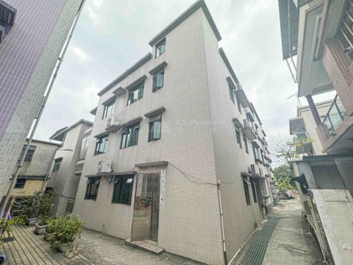 新界元朗巷尾村12號全幢 (DD125 Lot No. 2137 & Lot No. 2151) No. 12 Hong Mei Tsuen, Yuen Long, NT (DD125 Lot No. 2137 & Lot No. 2151)