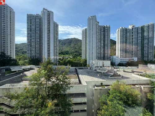 屯門田景路31號良景邨良智樓(4座)10字樓 40號單位。(銀主命) (只限綠表)