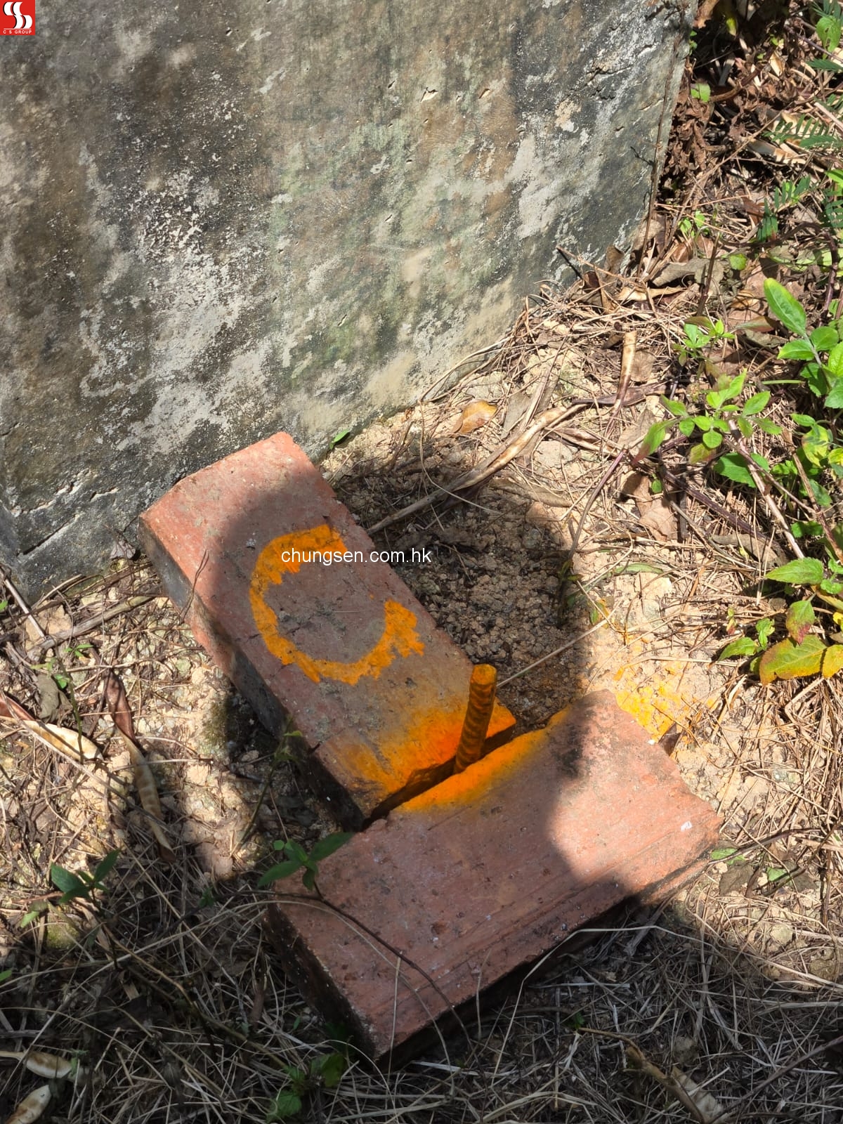 新界長洲地段899號 (近玫瑰園 ; 部份住宅屋地)。 (銀主命)
